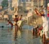 Значение слова джамна. Джамна река в Индии. Экзотичный обряд культа предков Примеры употребления слова джамна в литературе