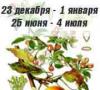 Календарь друидов — деревья и цветы по дате рождения Твое дерево по дате рождения